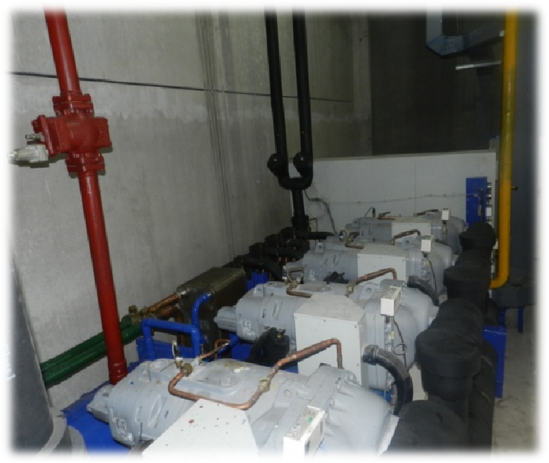 welcome海洋之神(集团)有限公司