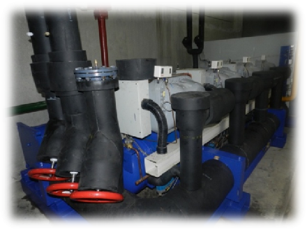 welcome海洋之神(集团)有限公司